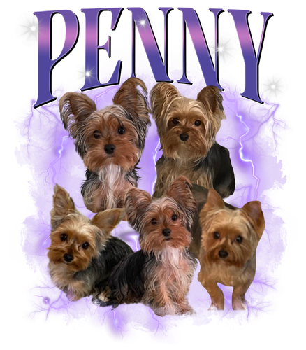 Penny.png