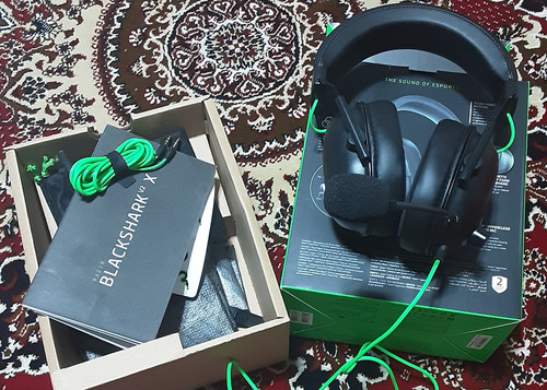 20231208 232433 nck8crop.jpg