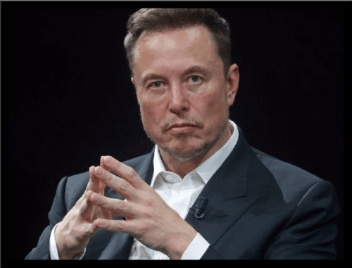 169549709556569076 (1).gif