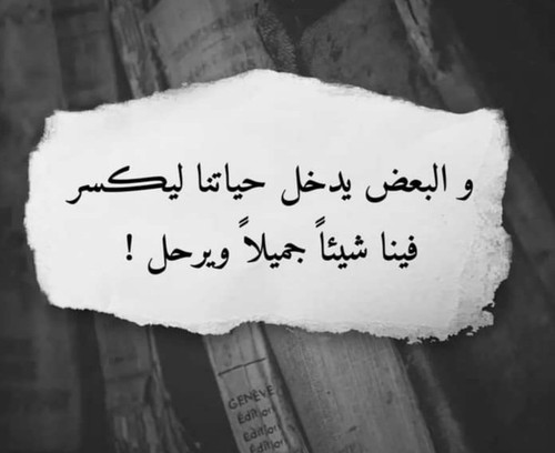 IMG ٢٠٢٣٠٩٢٣ ٢١٤٠١٥.jpg