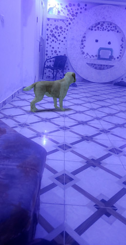 IMG ٢٠٢٣٠٩١٥ ٠٠١٢١٨.jpg