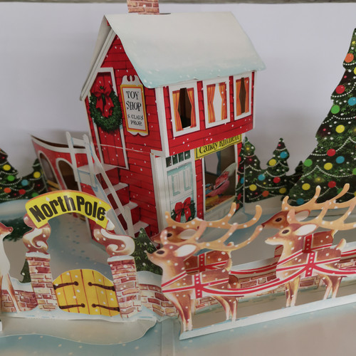 IMG 20230920 121520.jpg