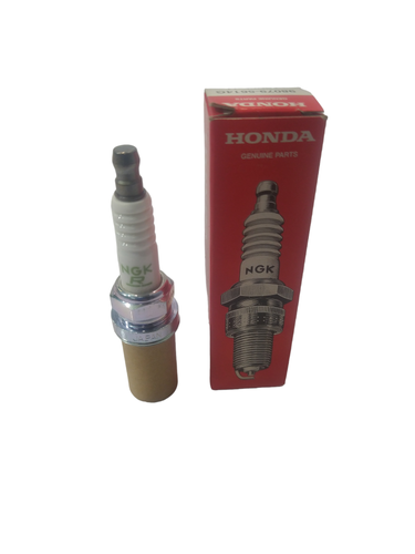 PhotoRoom 20230925 171942.png