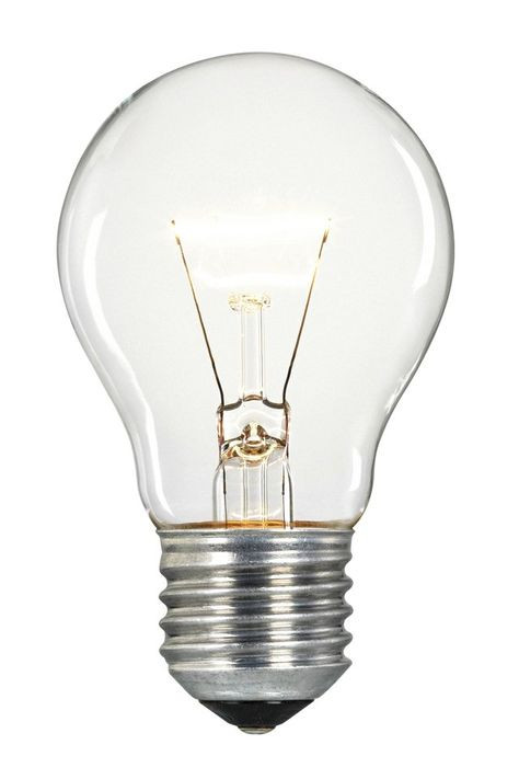 bulbs.jpg