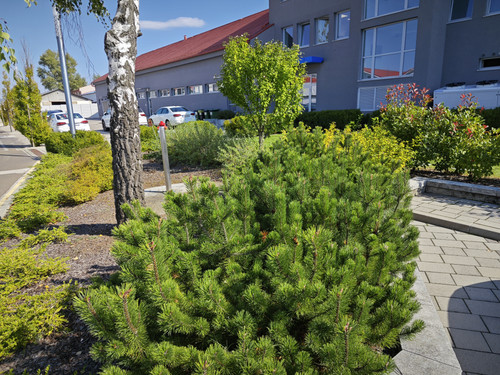 IMG 20230926 131515.jpg