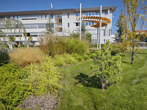 IMG 20230926 131348.jpg