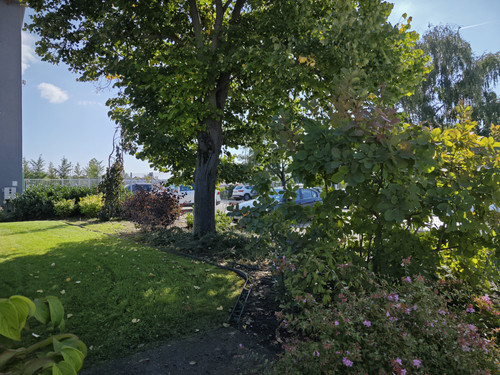 IMG 20230926 131500.jpg