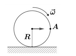 file 852.jpg