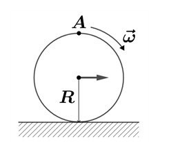 file 853.jpg