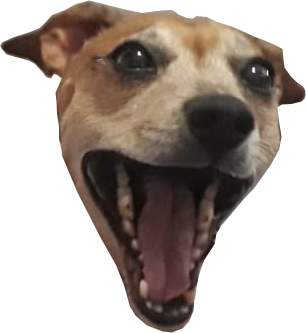 Layer 1.png