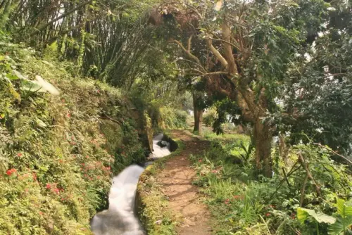 00008 狗殷勤古道.webp