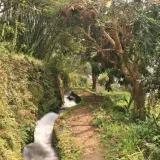 00008 狗殷勤古道