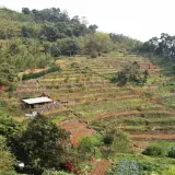 00009 狗殷勤古道附近的梯田