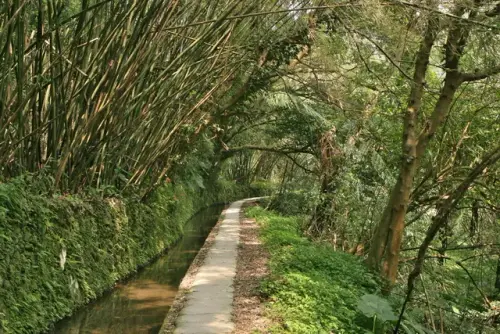 00003 金合興圳.webp