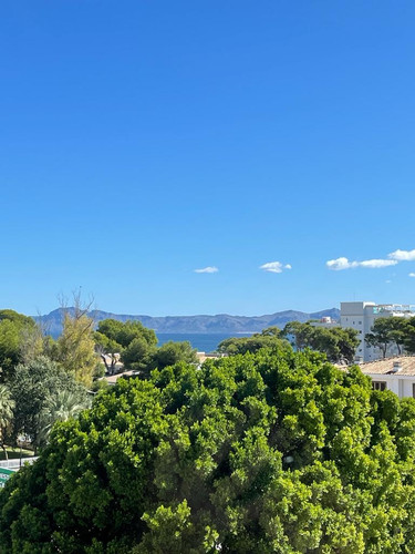 3cf062b6 e277 4c09 9da5 0218273e8b38.jpg