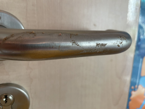 475BA110 29C3 4F75 A004 108790B2D0D0.jpg