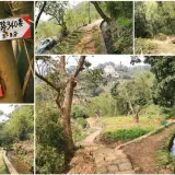 0005 尾崙水圳步道