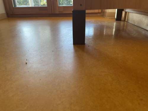 423F4FCB 0DC2 4A09 BD84 7D75AA0F2269.jpg