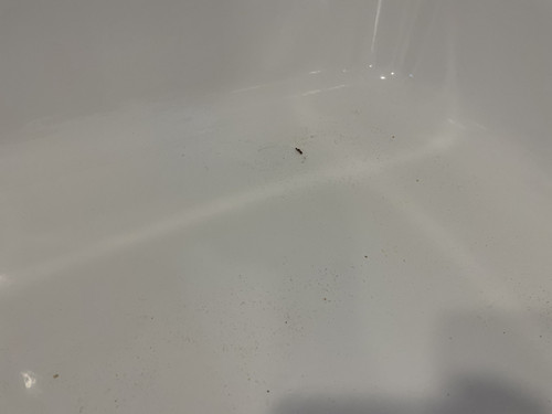 3C1E44FC 8611 4965 B909 349A57BC8CA1.jpg