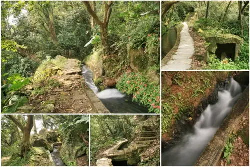 00004 狗殷勤古道.webp