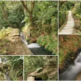 00004 狗殷勤古道