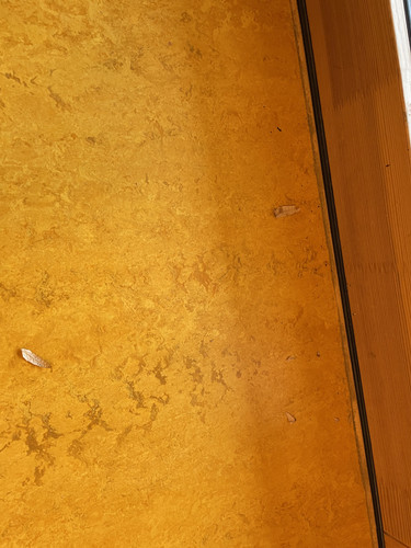 44B2DBF0 FB38 4F53 B588 6BE20EF5D893.jpg