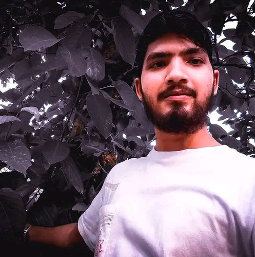 FB IMG 16914319060075593.jpg