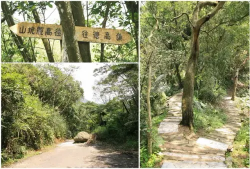 00005 德高嶺、高麗坑山步道