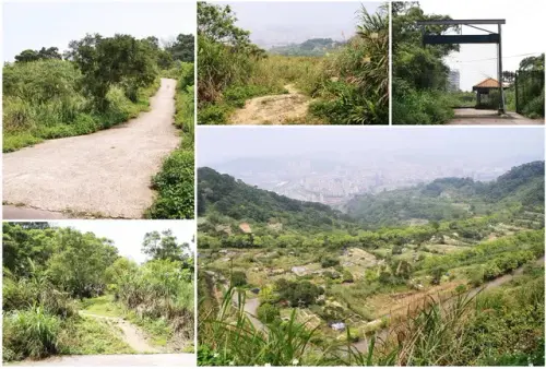 00010 高麗坑山附近眺望新店.webp