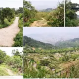 00010 高麗坑山附近眺望新店