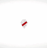 ezgif 2 a903489fa6.gif