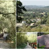 00010 十二寮步道