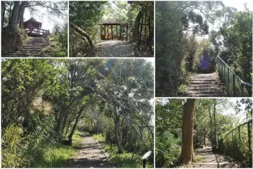 00007 十二寮登山步道.webp