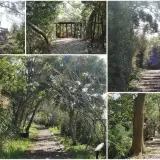 00007 十二寮登山步道