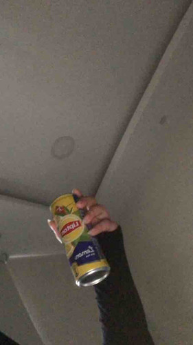 BD0A43B9 381E 470C 8840 8E61260A2525.jpg