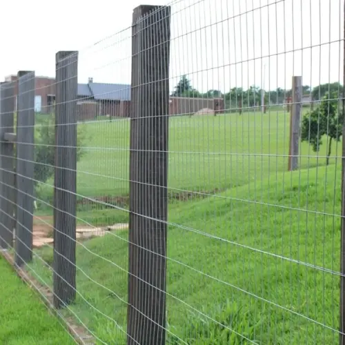 soldada 241 ef4bcc17da5d1d23f016662750711004 640 0.webp