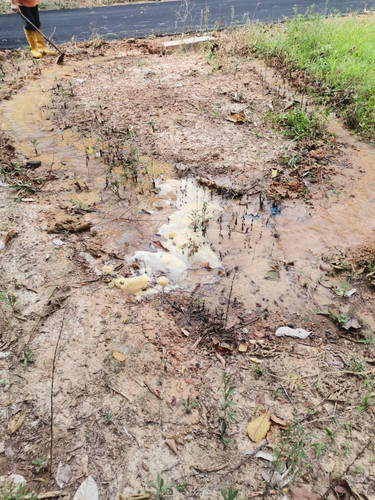 WhatsApp Image 2023 09 22 at 4.23.19 PM.jpg