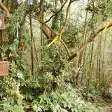 00023 八達嶺古道坐嬲崠