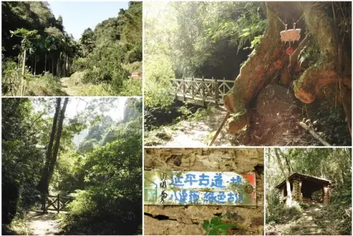 00009 鳴鳳古道情人谷.webp