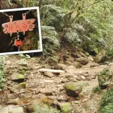 00027 延平古道來到情人谷