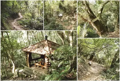 00010 鳴鳳古道.webp