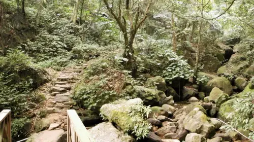 00028 鳴鳳古道.webp