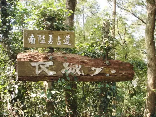 00011 鳴鳳古道.webp