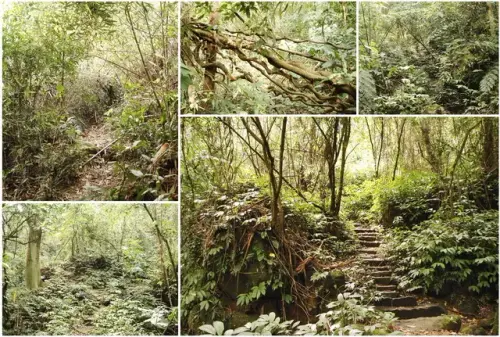 00026 延平古道.webp