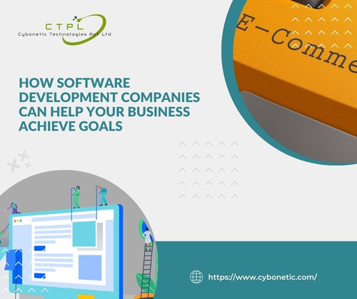 How Software Development Companies Can Help Your Business Achieve Goals.jpg