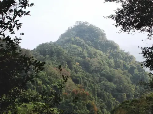 00010 金童山.webp