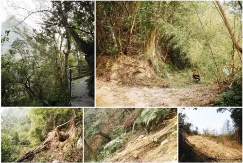 00009 法雲寺後山小徑.webp