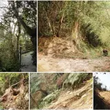 00009 法雲寺後山小徑