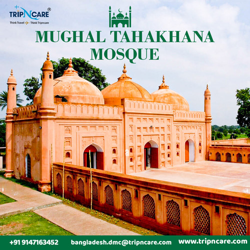 EXPLORE MUGHAL TEHKHANA MOSQUE WITH TRIPNCARE.jpg