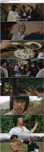 杂家小子.Knockabout.1979.GBR.BDRip.1080p.x265.10bit.AC3.2Audio DGB.mkv.jpg